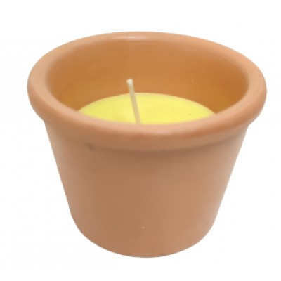 VELA CITRONELA EM VASO 45GR