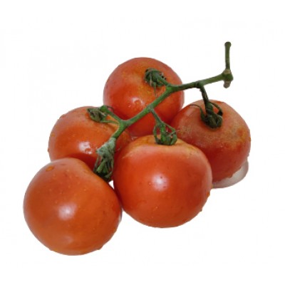 TOMATE CACHO KG