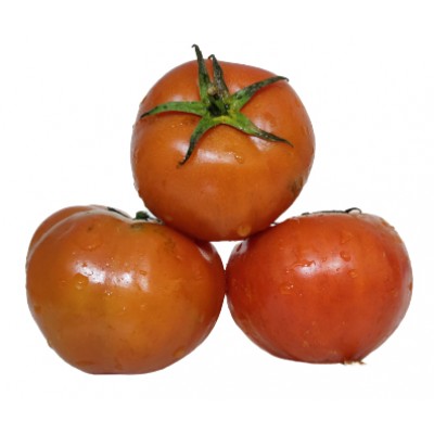 TOMATE REDONDO KG