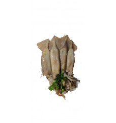 POTAS KG