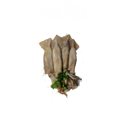 POTAS KG