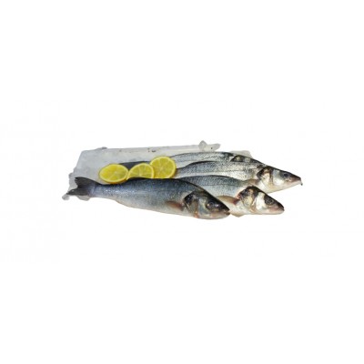 ROBALO AQ KG