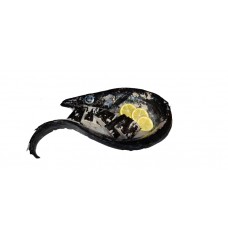 PEIXE ESPADA PRETO KG