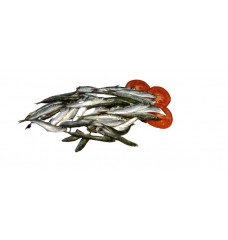 SARDINHA PEQ KG