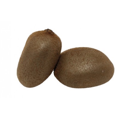KIWI KG