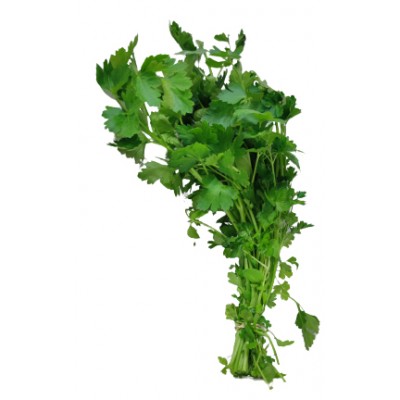 SALSA MOLHA