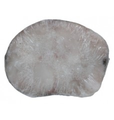 POSTA PESCADA N5 COZER CHILE FRIONDA KG