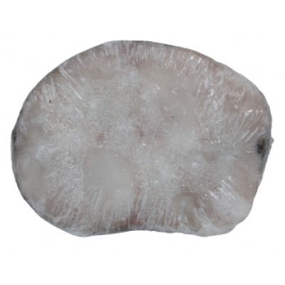 POSTA PESCADA N5 COZER CHILE FRIONDA KG