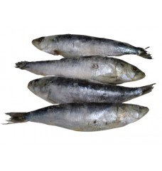 SARDINHA GRANDE CONG GRANEL KG