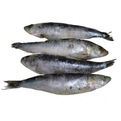 SARDINHA GRANDE CONG GRANEL KG