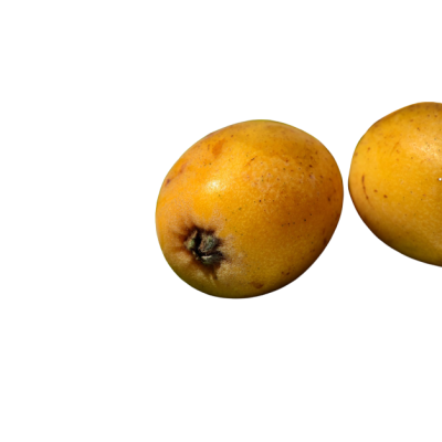 NESPERA KG