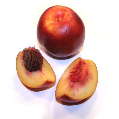 NECTARINA KG