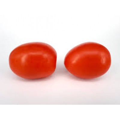 TOMATE XUXA KG