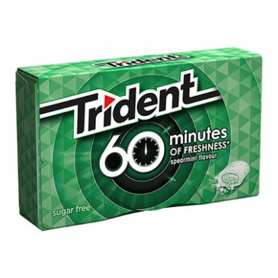 TRIDENT 60 MINUTOS SPEARMINT 20GR