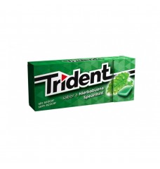 TRIDENT SPERMINT S/ACUCAR 14.5 GR