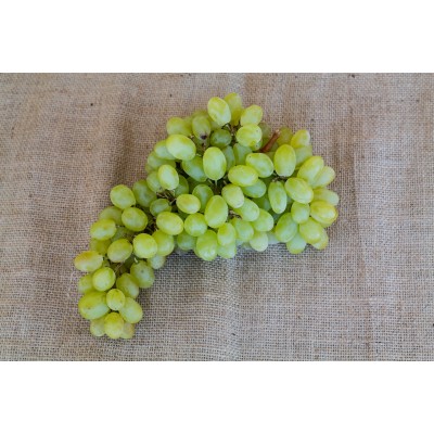 UVA BRANCA KG
