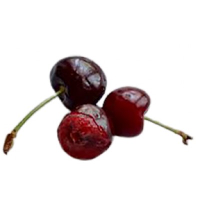 CEREJAS KG